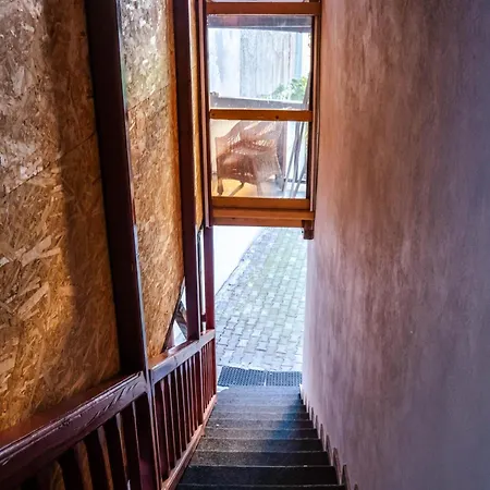 Auberge de jeunesse Sport *